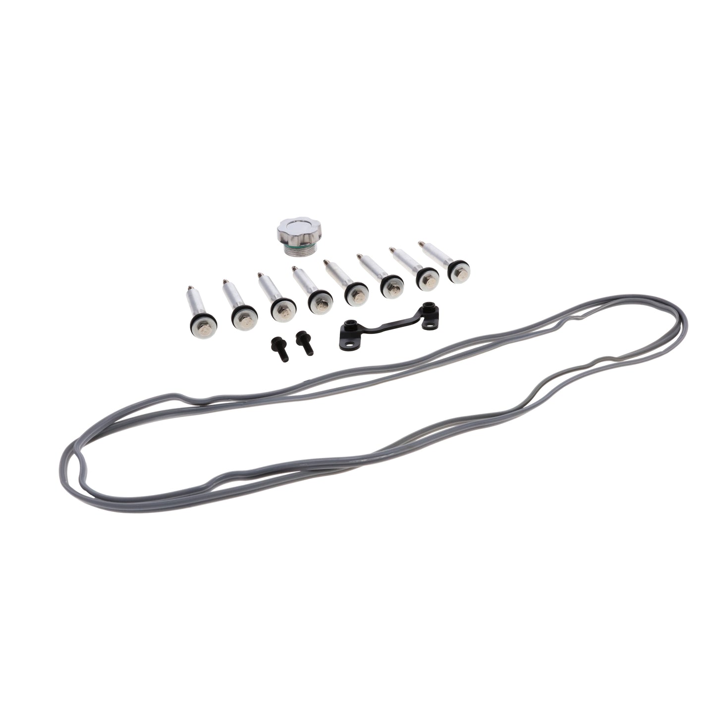 GM LS Cast Aluminum Valve Covers with Coil Mounts - Polished