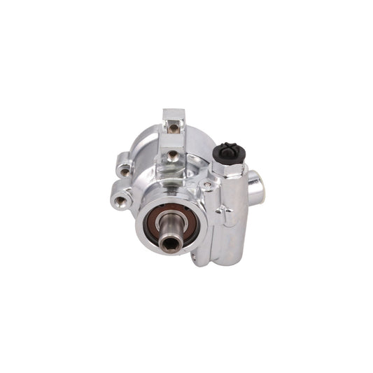 GM Type II Power Steering Pump for Use with TSP Integral Reservoir - Chrome