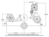 Ford 390 Serpentine System - Power Steering & Alternator - Black
