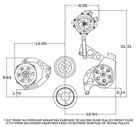 Chevy Big Block Serpentine Conversion Kit - Alternator Only, Long Water Pump - Black