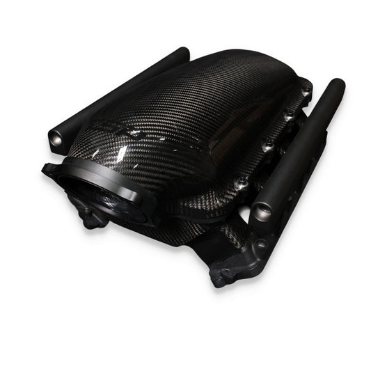 GM LS Gen IV Cathedral Port Carbon Fiber Low-Rise Intake Manifold