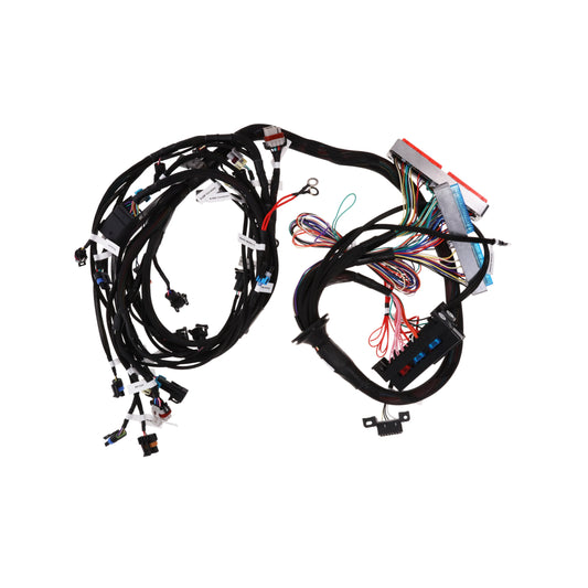 97-04 GM LS1/LS6  and 99-06 Truck Standalone Drive-by-Cable Engine Wiring Harness