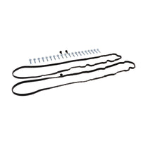 GM LT Cast Aluminum Valve Covers with Coil Mounts - Polished