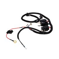 Dual Electric Fan Upgrade Wiring Harness for 96-06 ECU Control
