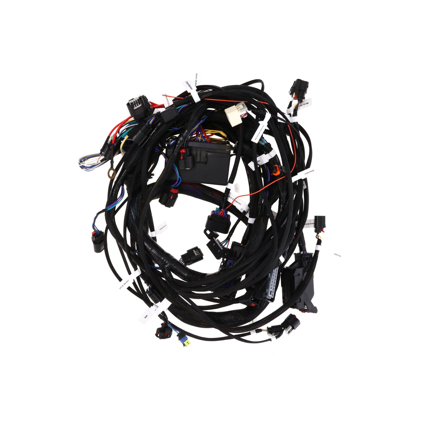 2014 and Later GM LT L86/L83 Engine and Standard Transmission Wiring Harness