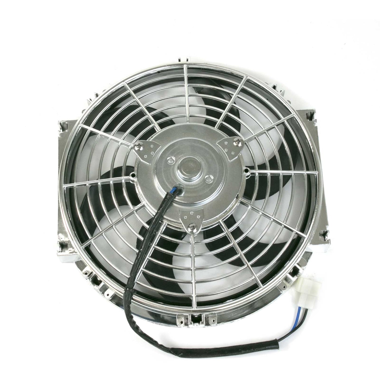 Fans