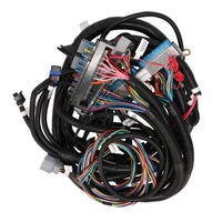 GM Standalone LS1 Drive by Wire Engine and 4L80E Transmission Wiring Harness