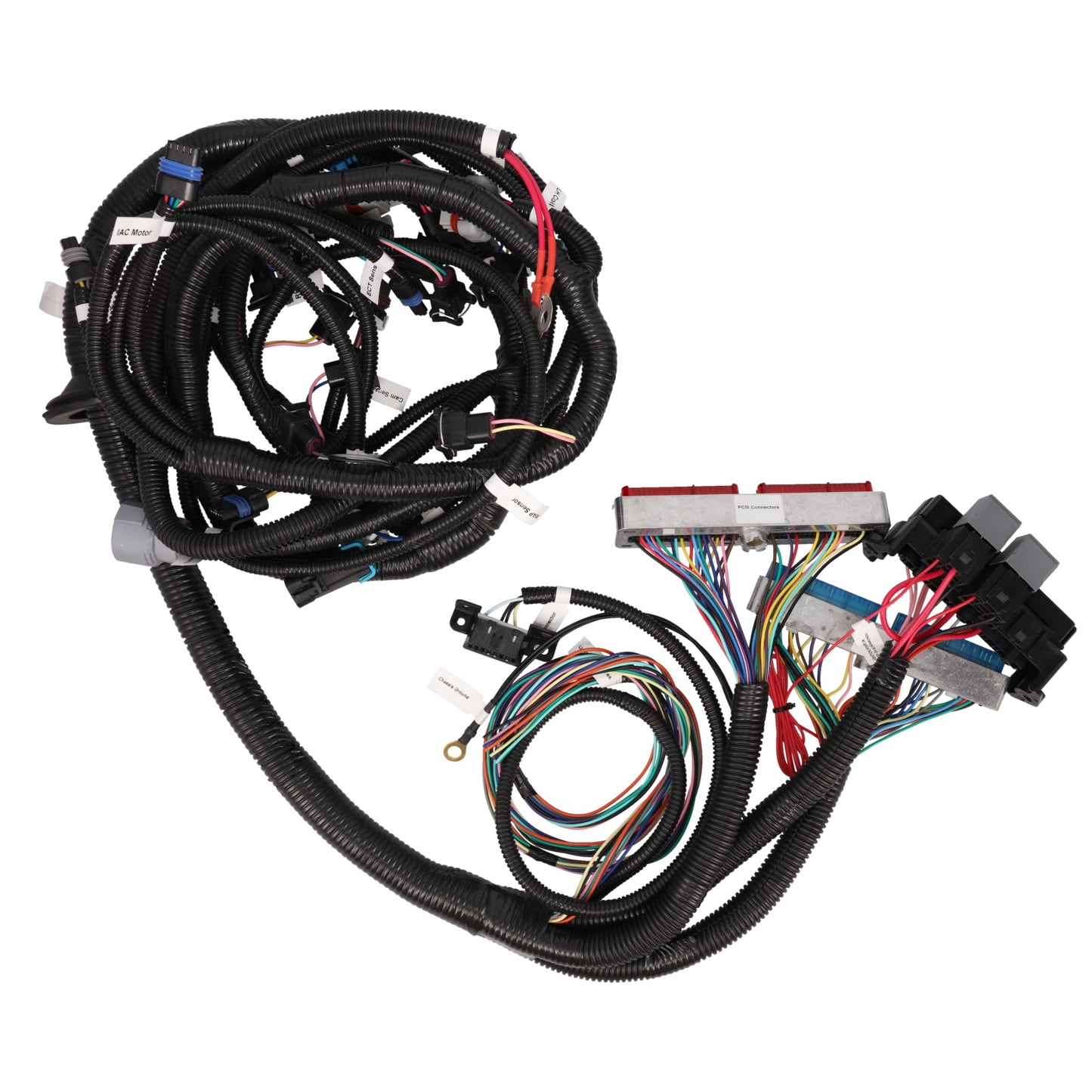 GM Standalone LS1 Drive by Cable Engine and 4L60E Transmission Wiring Harness