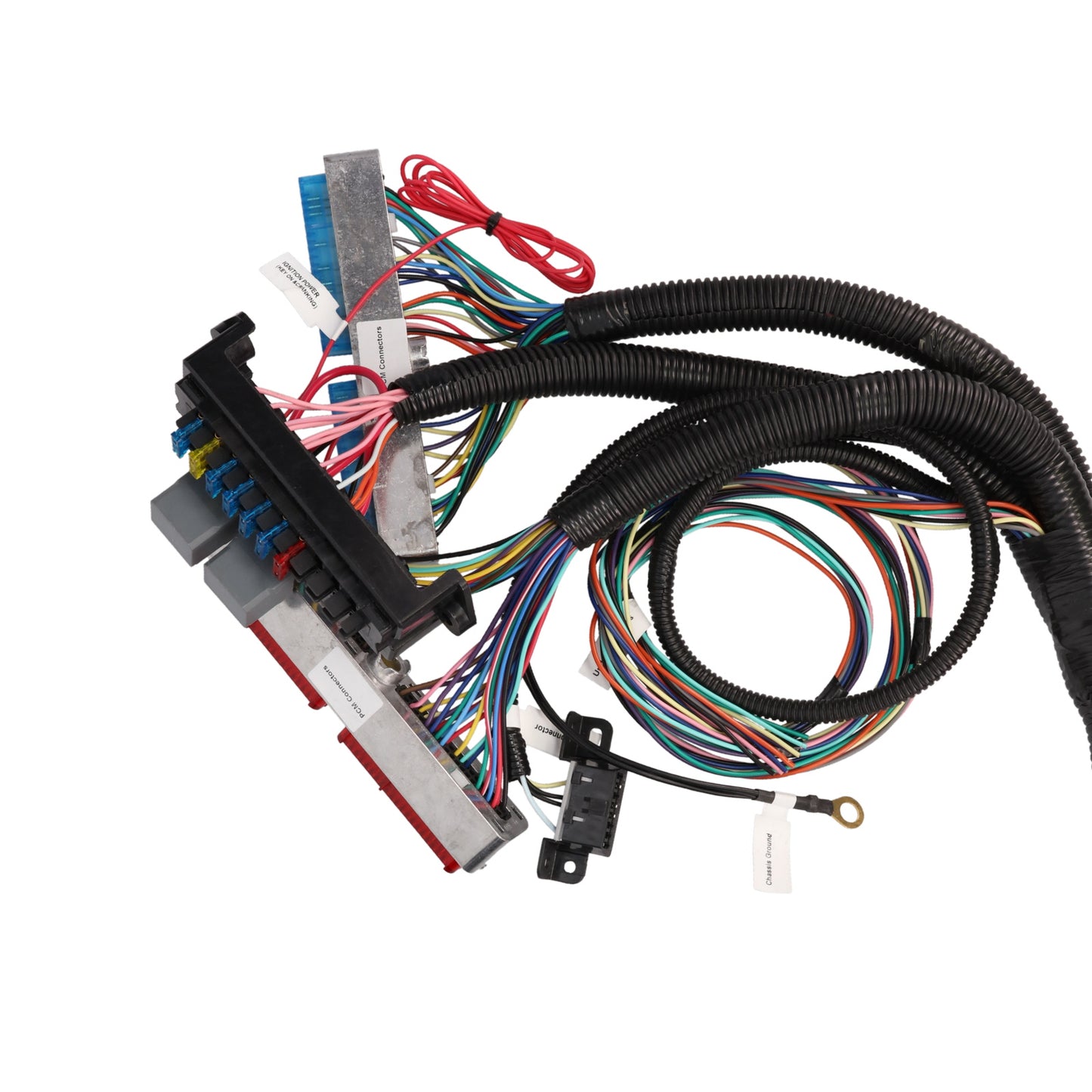 GM Standalone LS1 Drive by Cable Engine and 4L60E Transmission Wiring Harness